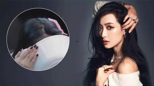 新季节预告片段爆料视频,揭秘神秘片段，带你领略未来潮流趋势